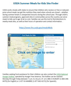 Read more about the article Summer Meals for Kids