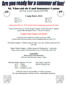 Read more about the article SVS Summer Camp 2025