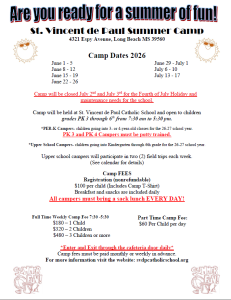 Read more about the article SVS Summer Camp 2026